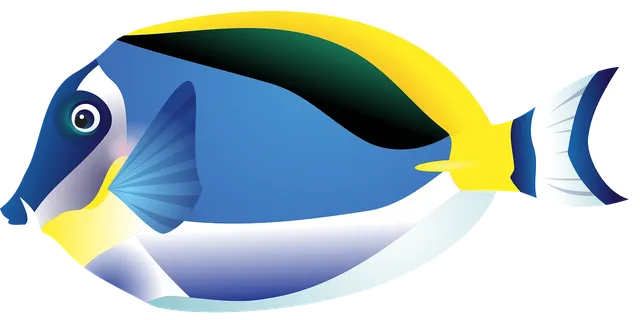 DGU